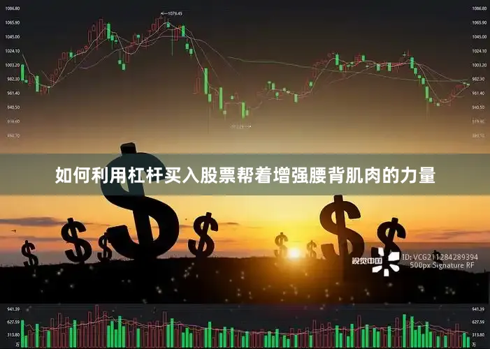 如何利用杠杆买入股票帮着增强腰背肌肉的力量