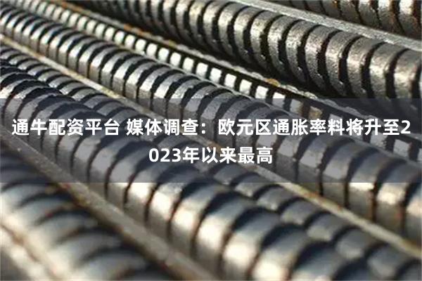 通牛配资平台 媒体调查：欧元区通胀率料将升至2023年以来最高
