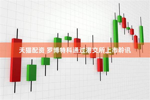 天猫配资 罗博特科通过港交所上市聆讯